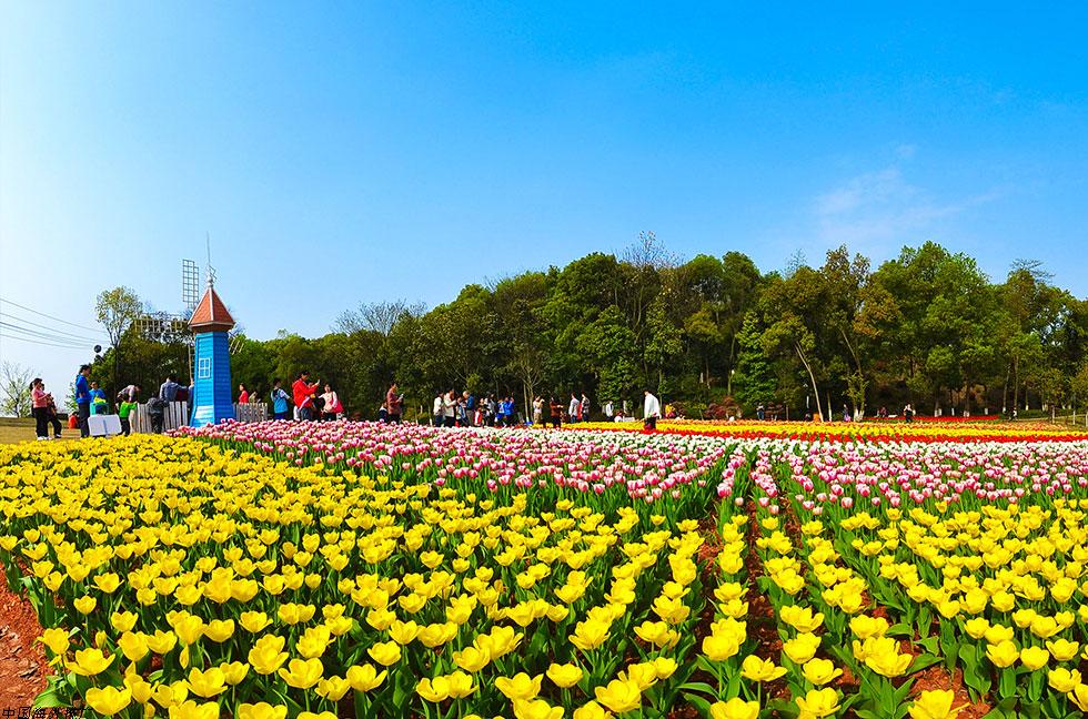 Hunan Forest Botanical Garden