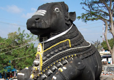 Bull tample