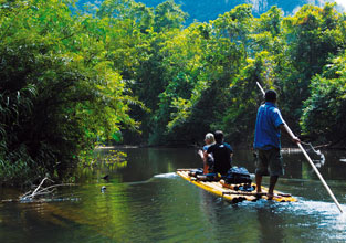 Khao-Sok-National-Park Khao-Sok-National-Park