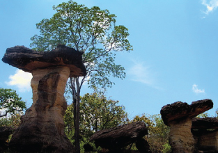 Pha_Taem_National_Park Pha_Taem_National_Park