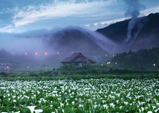 Padmanabhaswamy temple